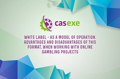 CASEXE Summarized the Results of its White Label Webinar