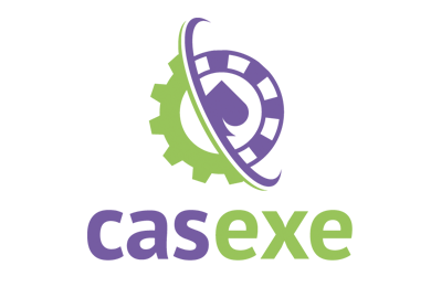 Компания CASEXE