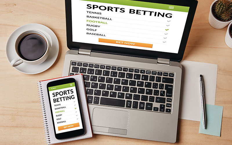 Bookmaker software Efbet Bookmaker software Efbet: where to buy